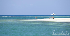 Caribbean Destination Wedding