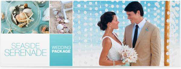 Seaside Serenade Destiantion Wedding Package