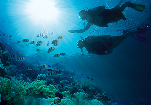 scuba dive great exuma bahamas included resized 600