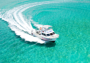 Scube Dive Nassau Bahamas included resized 600