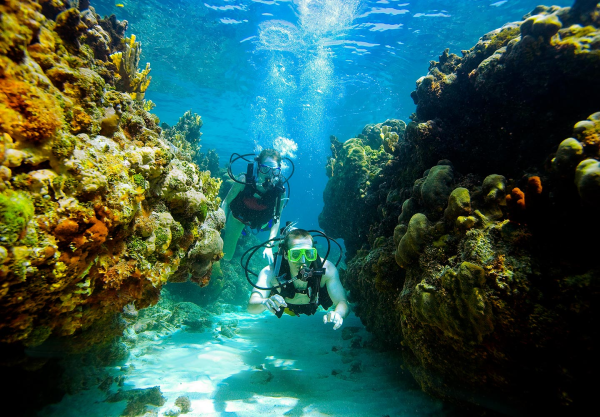 scuba dive antigua included resized 600