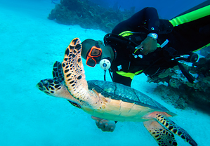 SCUBA Diving is included at Sandals and Beaches Resorts