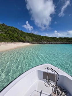 Fowl Cay Boat Included 