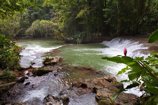 Dunns-River-Falls